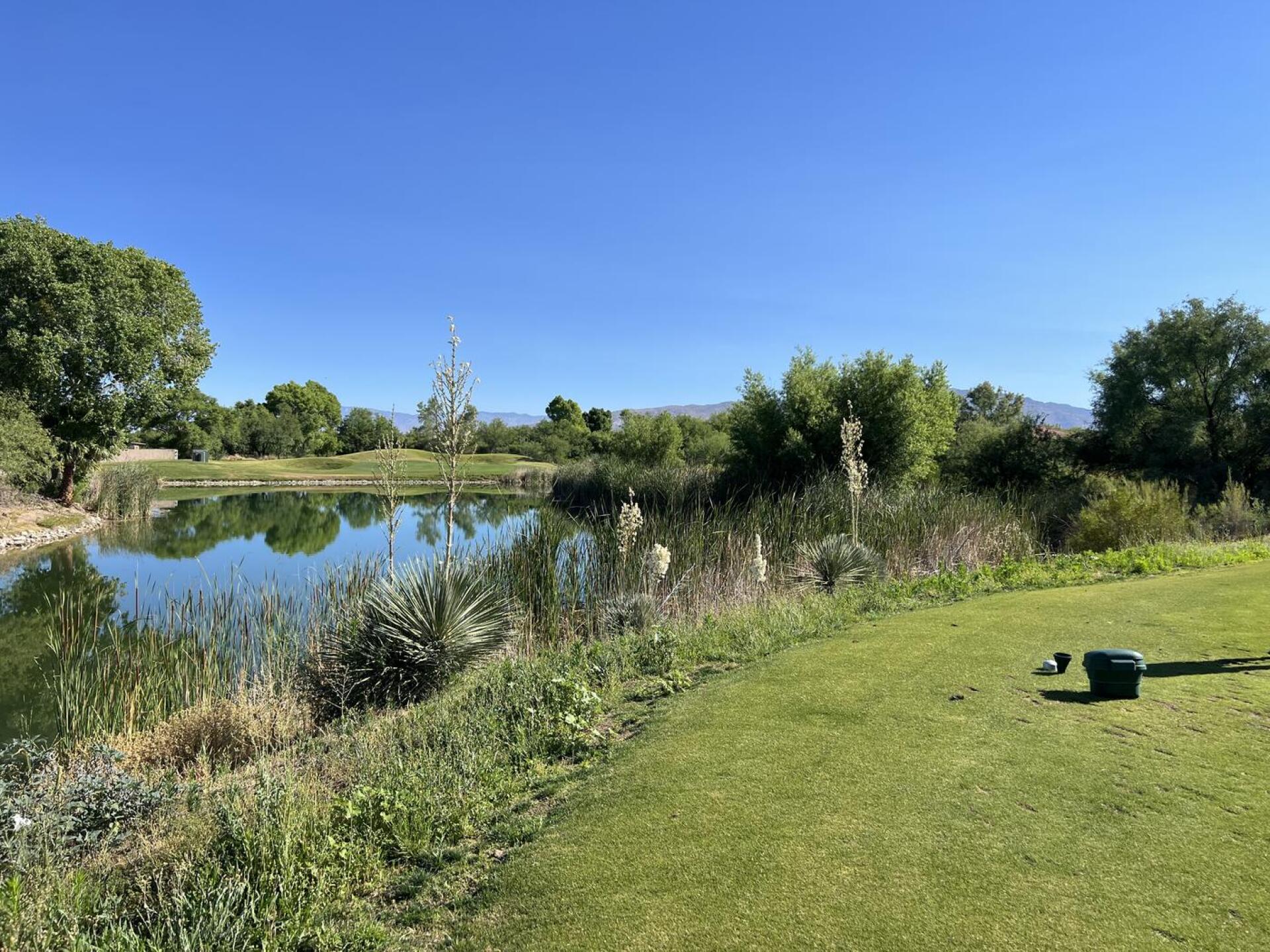 (Photo submitted by Badgolfer007 on 06/25/2023)