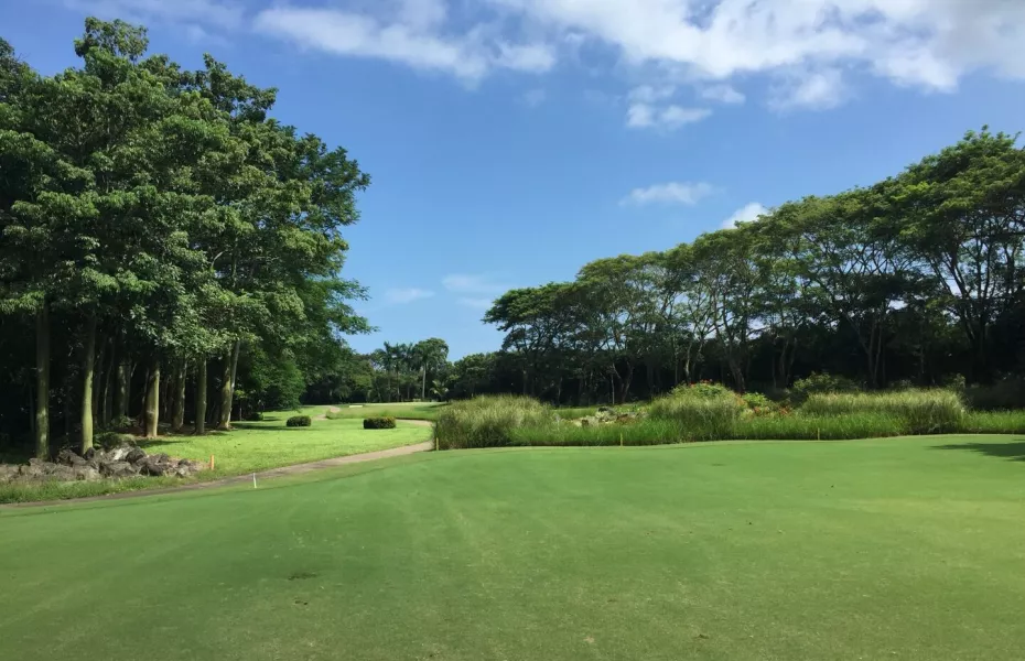 Los Delfines GCC: #3