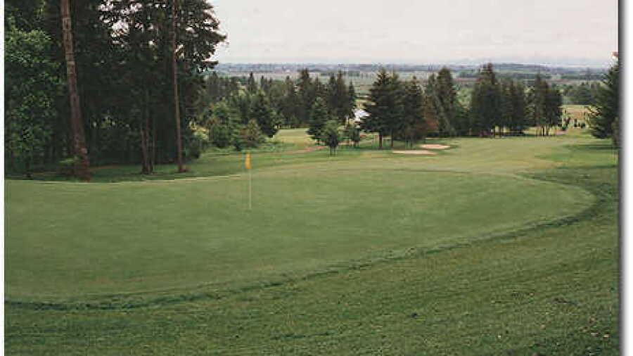 Diamond Woods #5