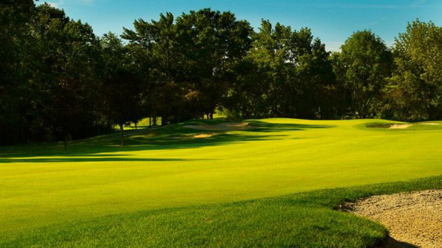 Oberlin GC: #11