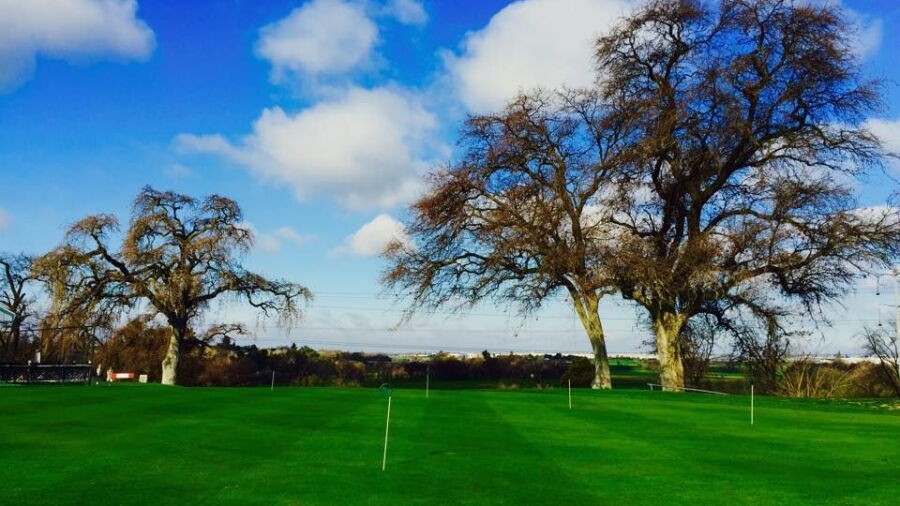 River Oaks GC: Practice area