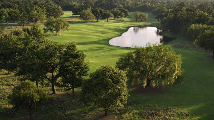 Cabot Citrus Farms - The Roost: #13