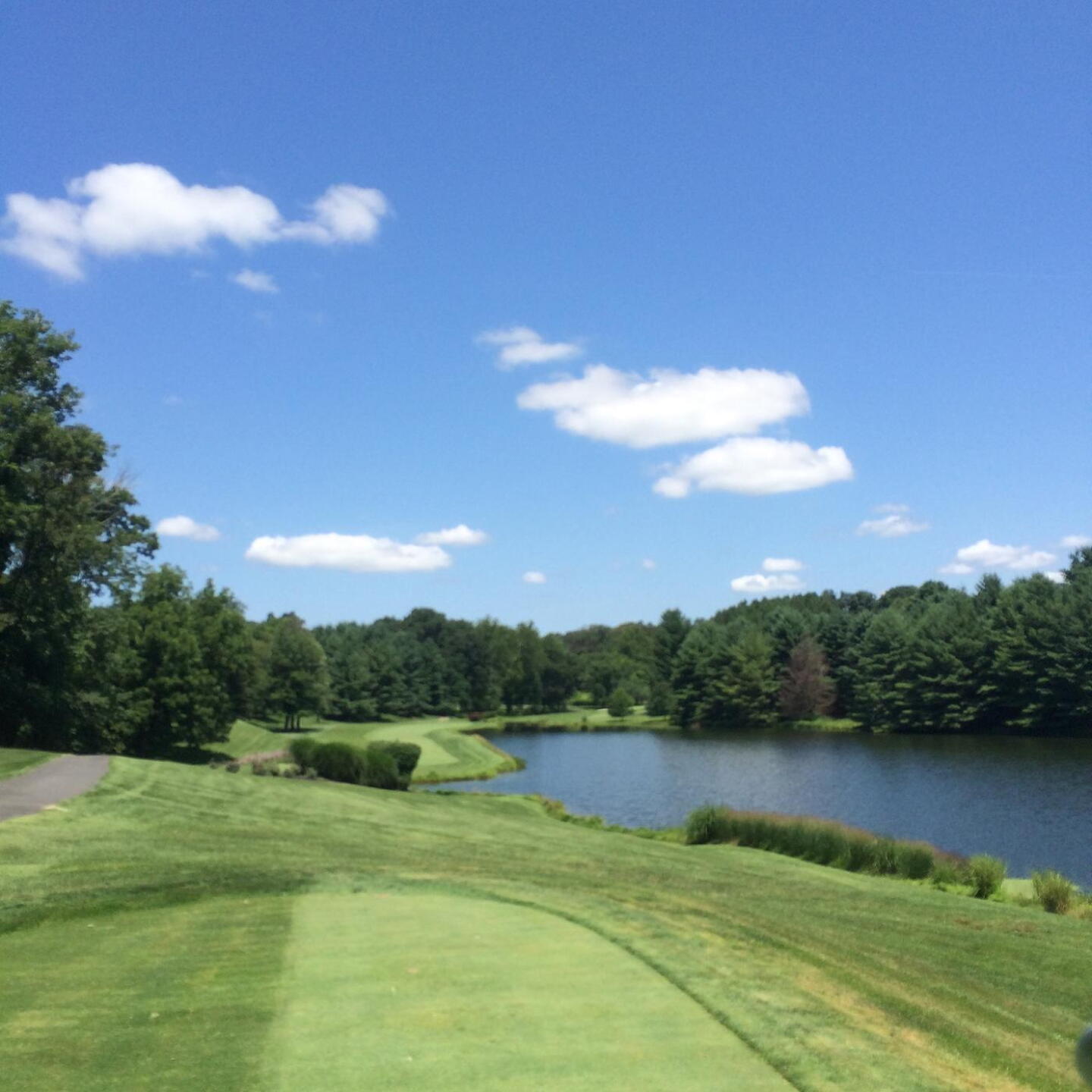 The Par 5 14th - a good drive gives a shot to the green, a bad one is wet! (Photo submitted by HollandA on 07/16/2015)