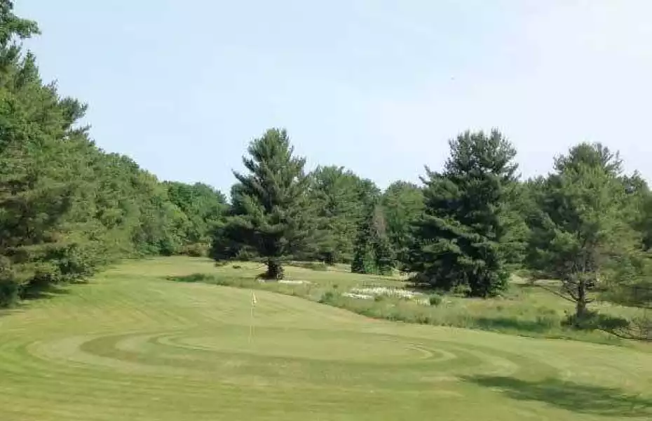 Jade Trace At Mystic Meadows