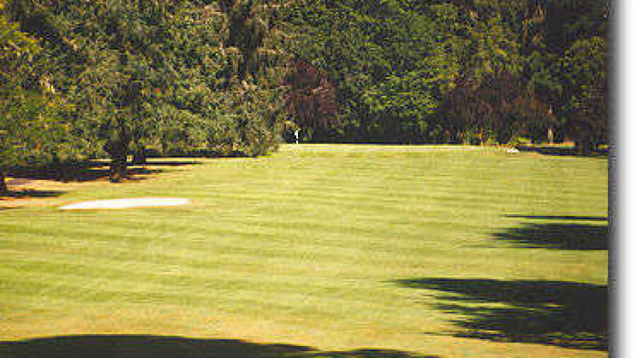 Salem GC #1