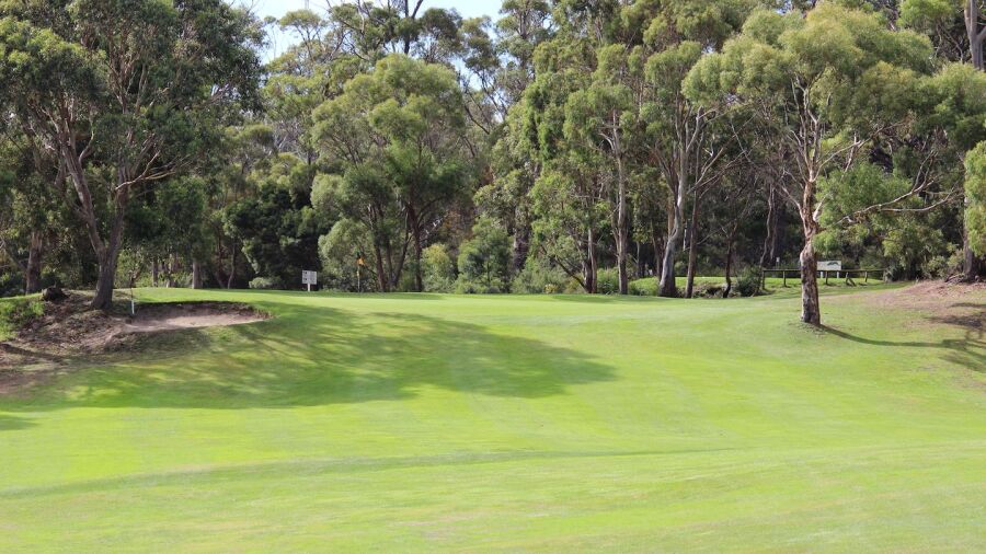 Freycinet GC: #6