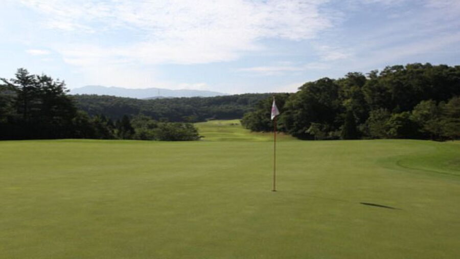 Nakamine GC: #8