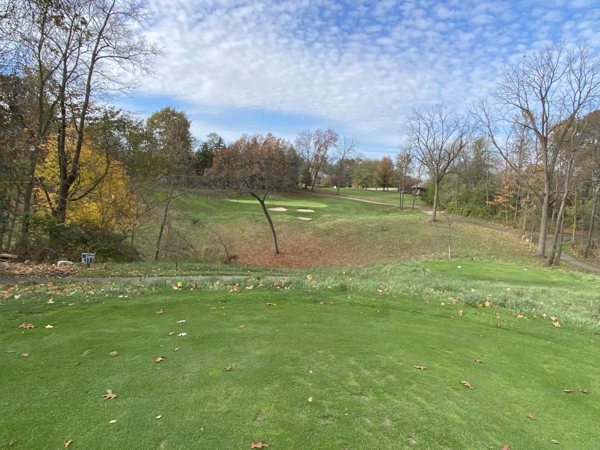 (Photo submitted by u183373765 on 11/02/2023)