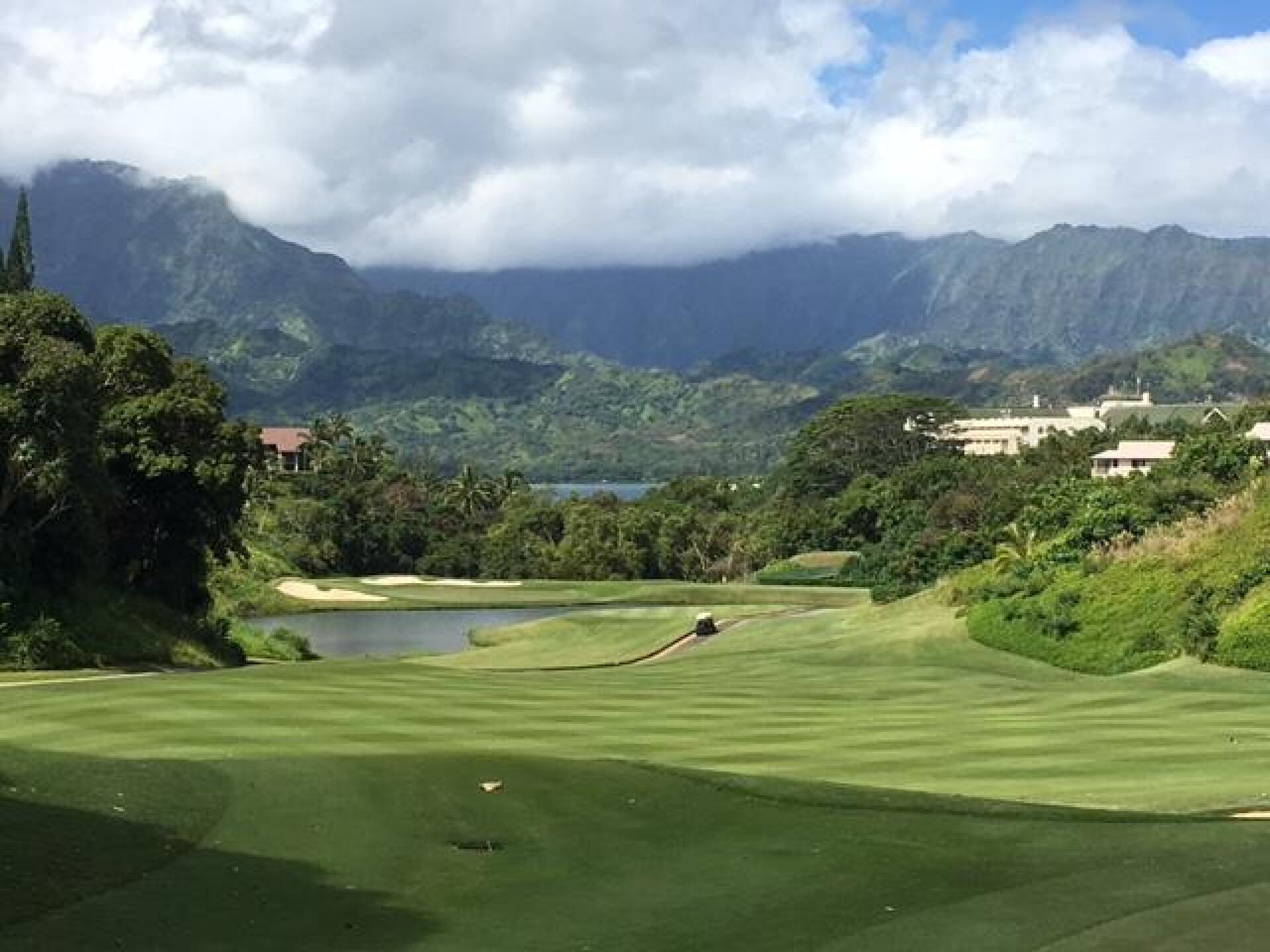 (Photo submitted by LICC on 09/08/2017)