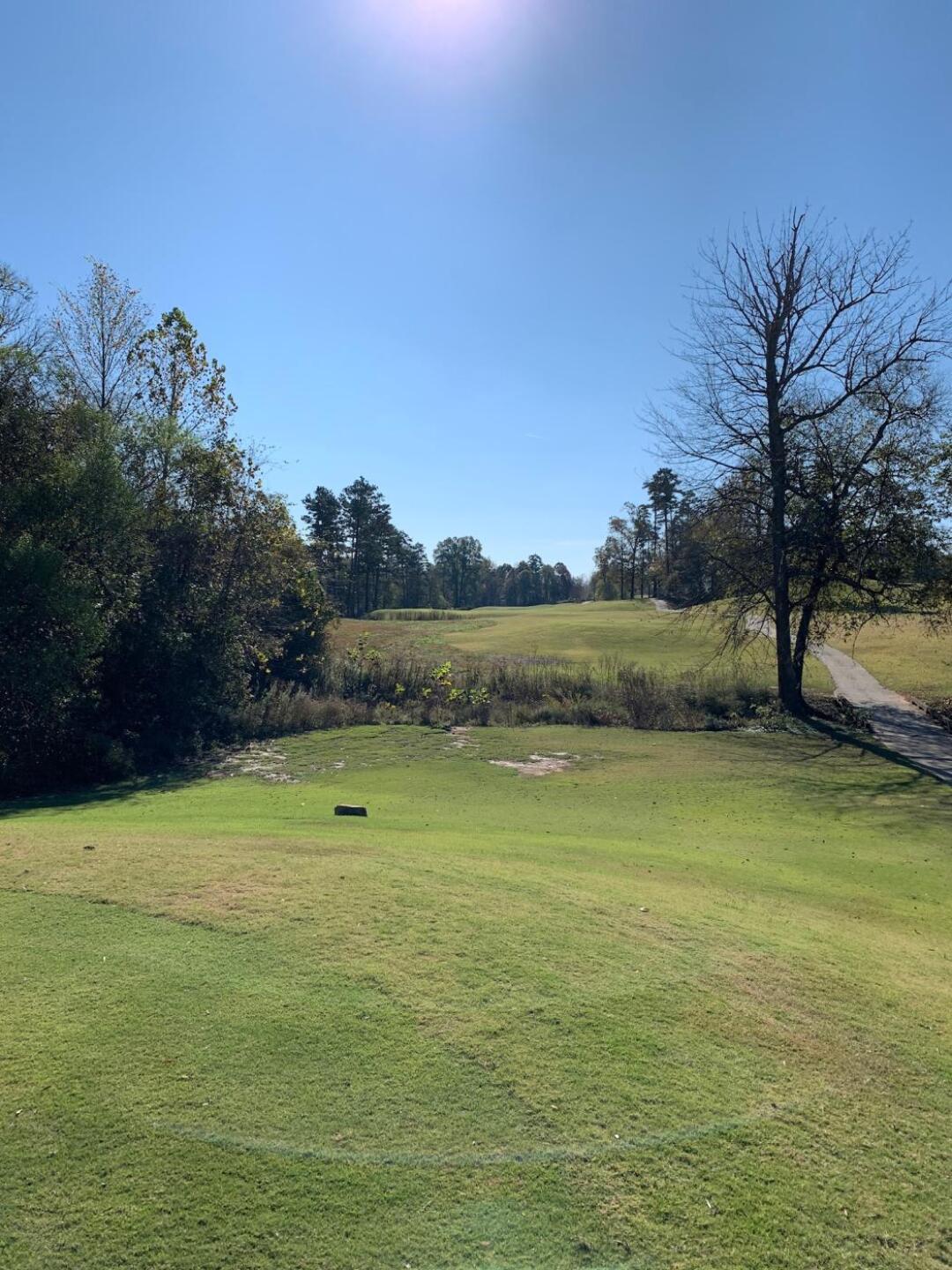 (Photo submitted by u000005687927 on 11/06/2019)