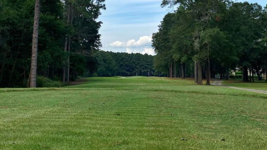 The Bridges at Tartan Pines: #3