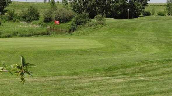 Flowing Springs Golf Greens: #5