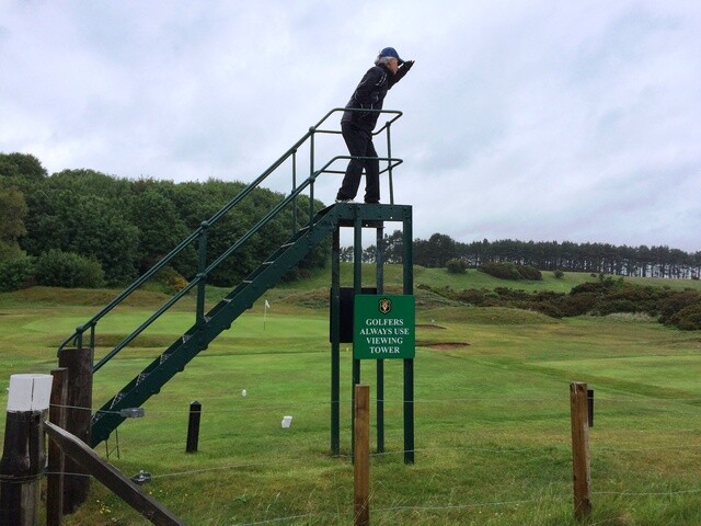 Viewing tower at Lundin Golf Club