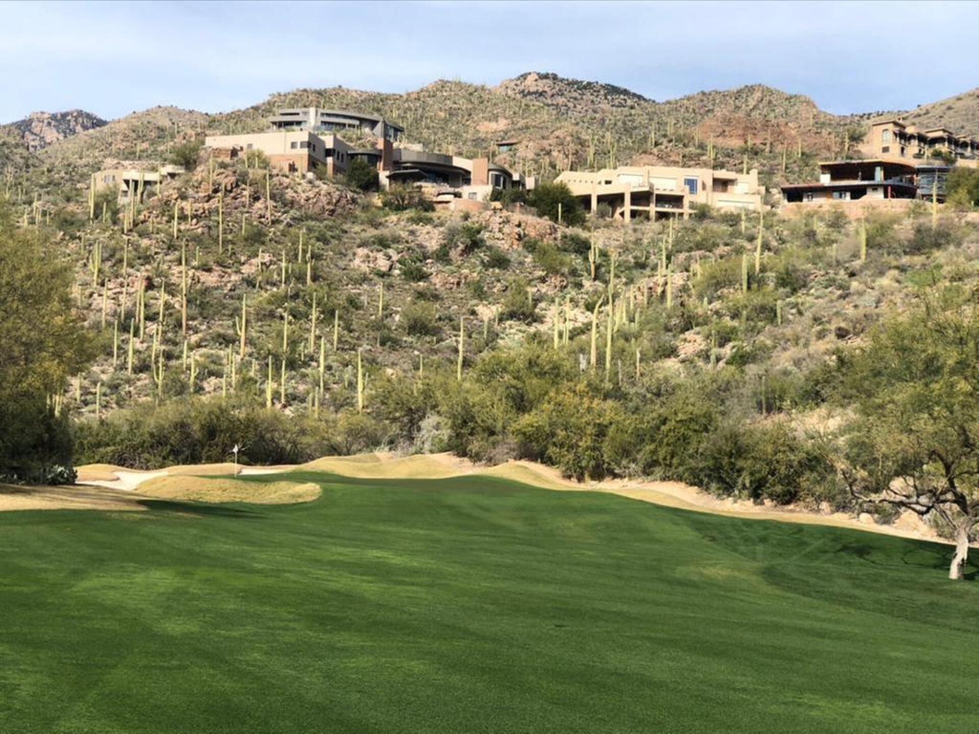 (Photo submitted by bert1953pien on 01/24/2020)