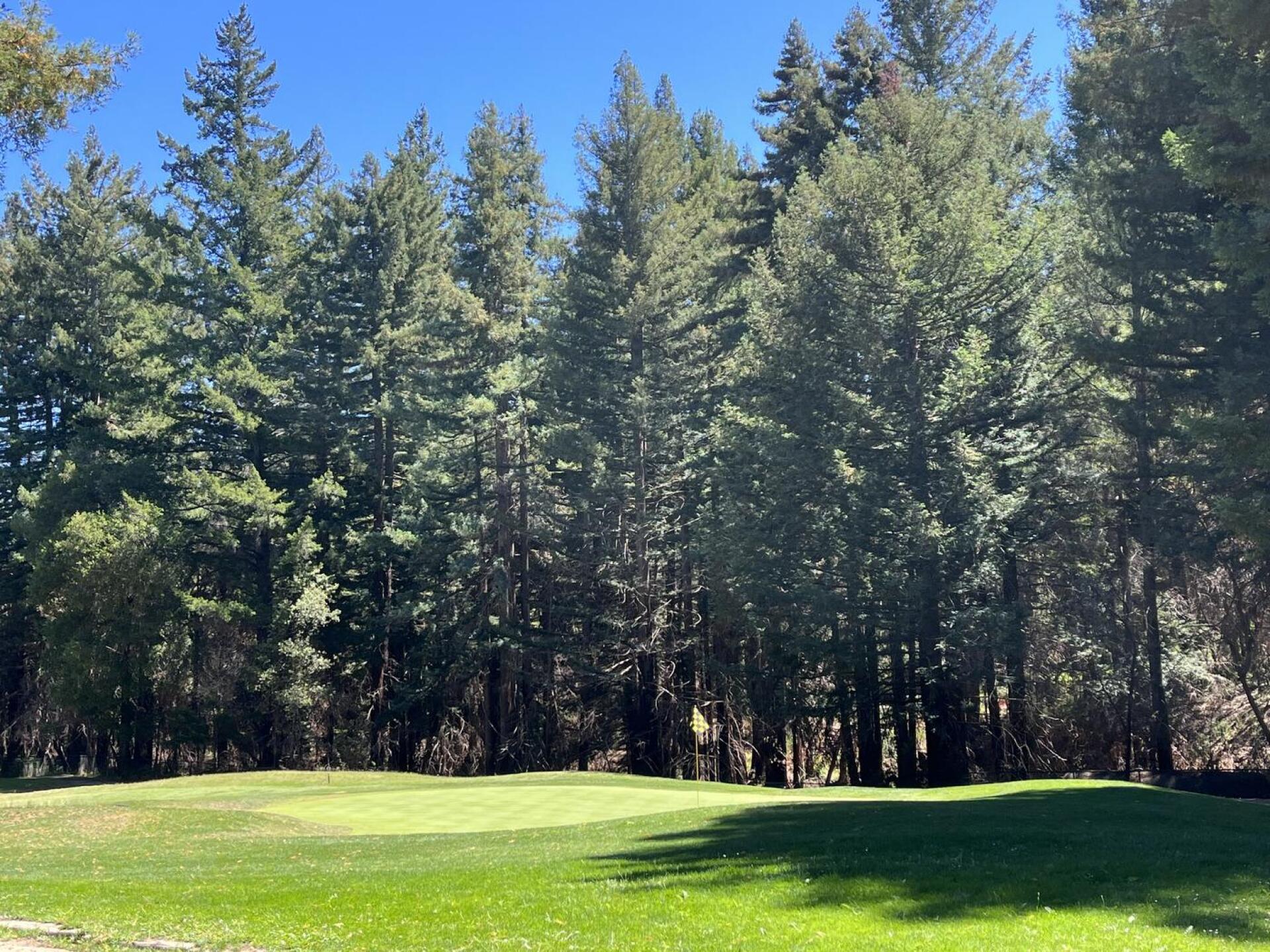 (Photo submitted by trat10 on 08/22/2022)