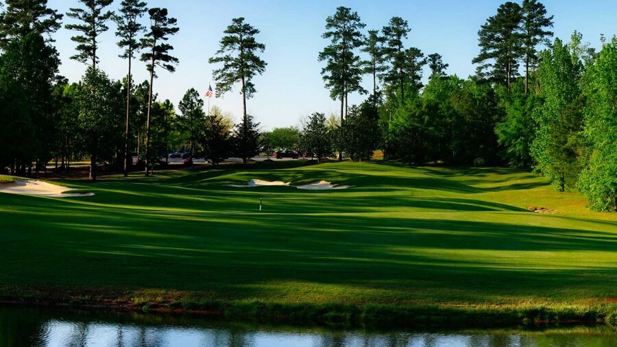 Loblolly at Cambrian Ridge: #9