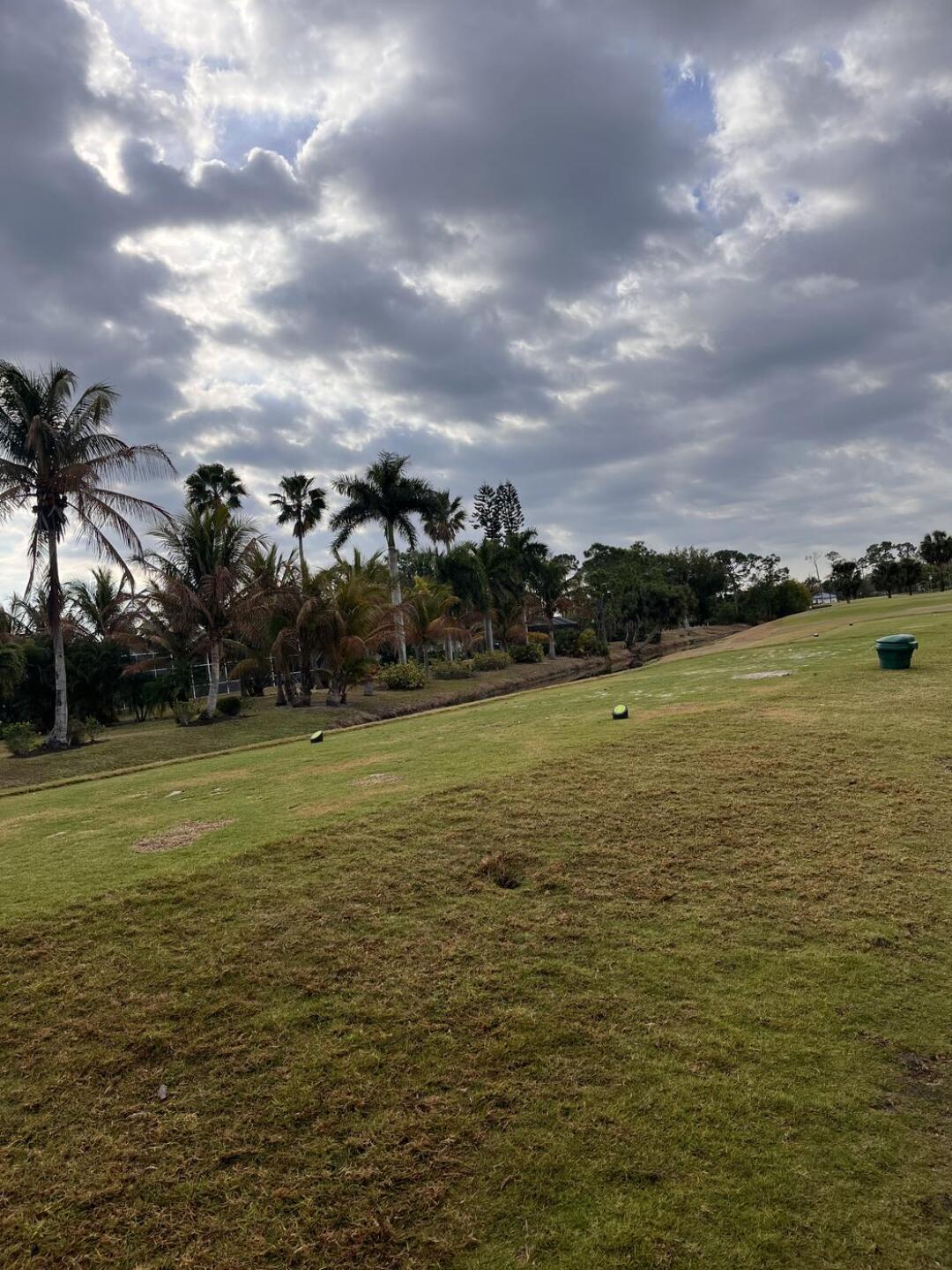 (Photo submitted by csimms56 on 02/20/2026)