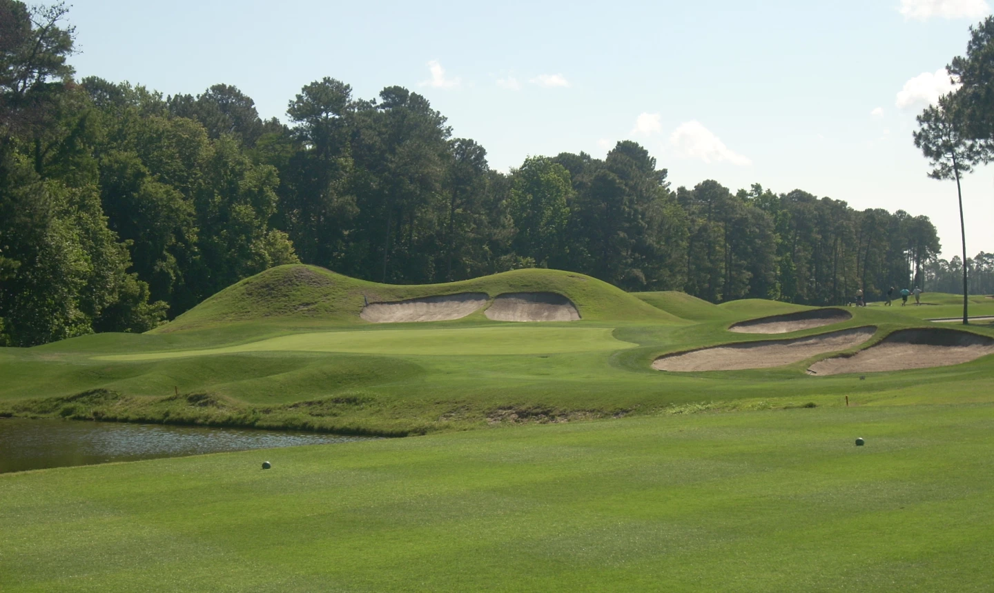 Avocet Course - Wild Wing Golf Plantation - hole 8