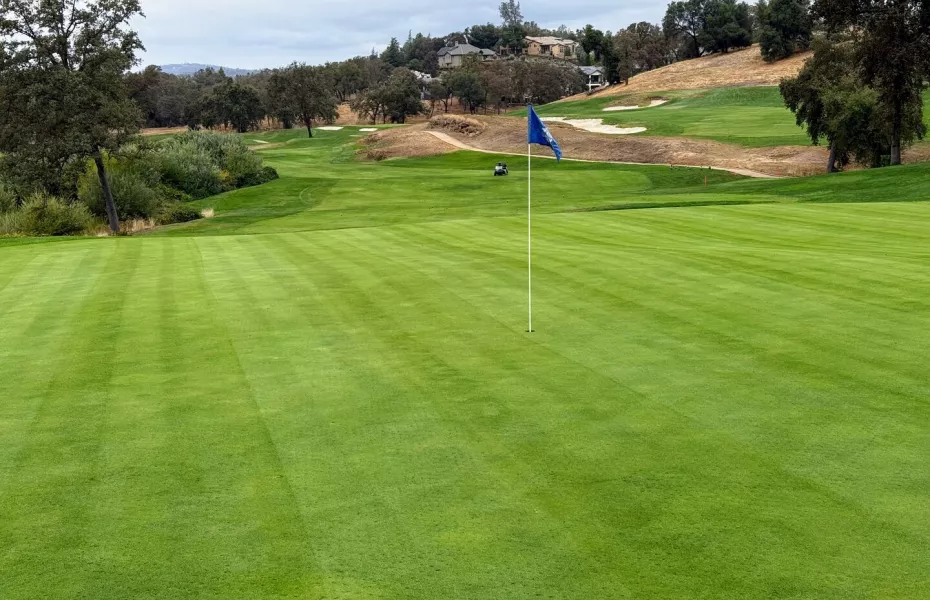 DarkHorse GC: Aerial