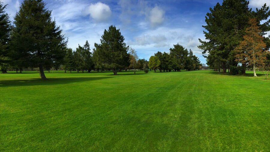 Te Kowhai GC