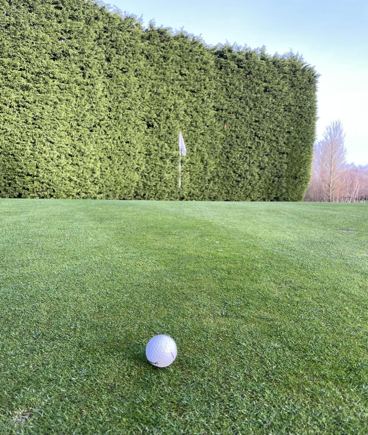 (Photo submitted by Popa71 on 12/16/2023)