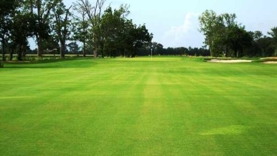Links on the Bayou: #5