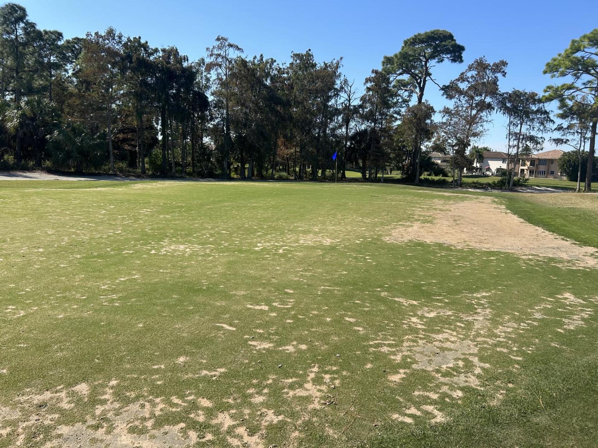 (Photo submitted by swallach91 on 11/25/2025)