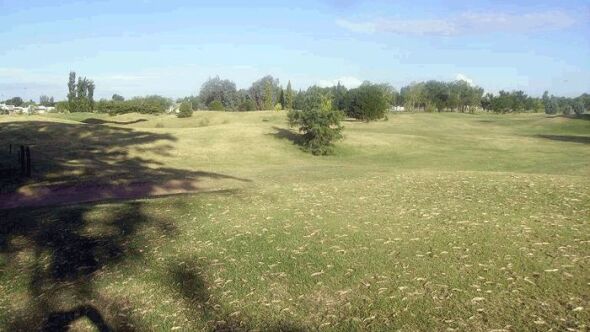 Trenque Lauquen Polo Club