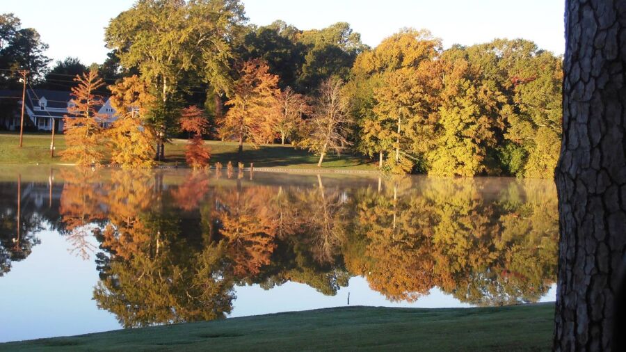 Bayou DeSiard CC