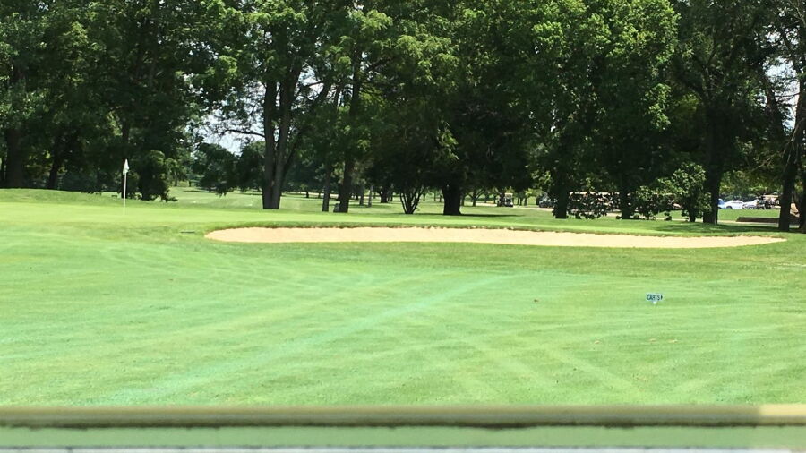 Foxfire GC