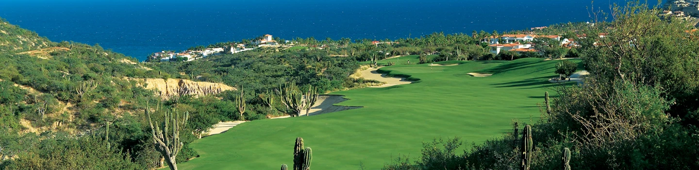 Palmilla_2.jpg