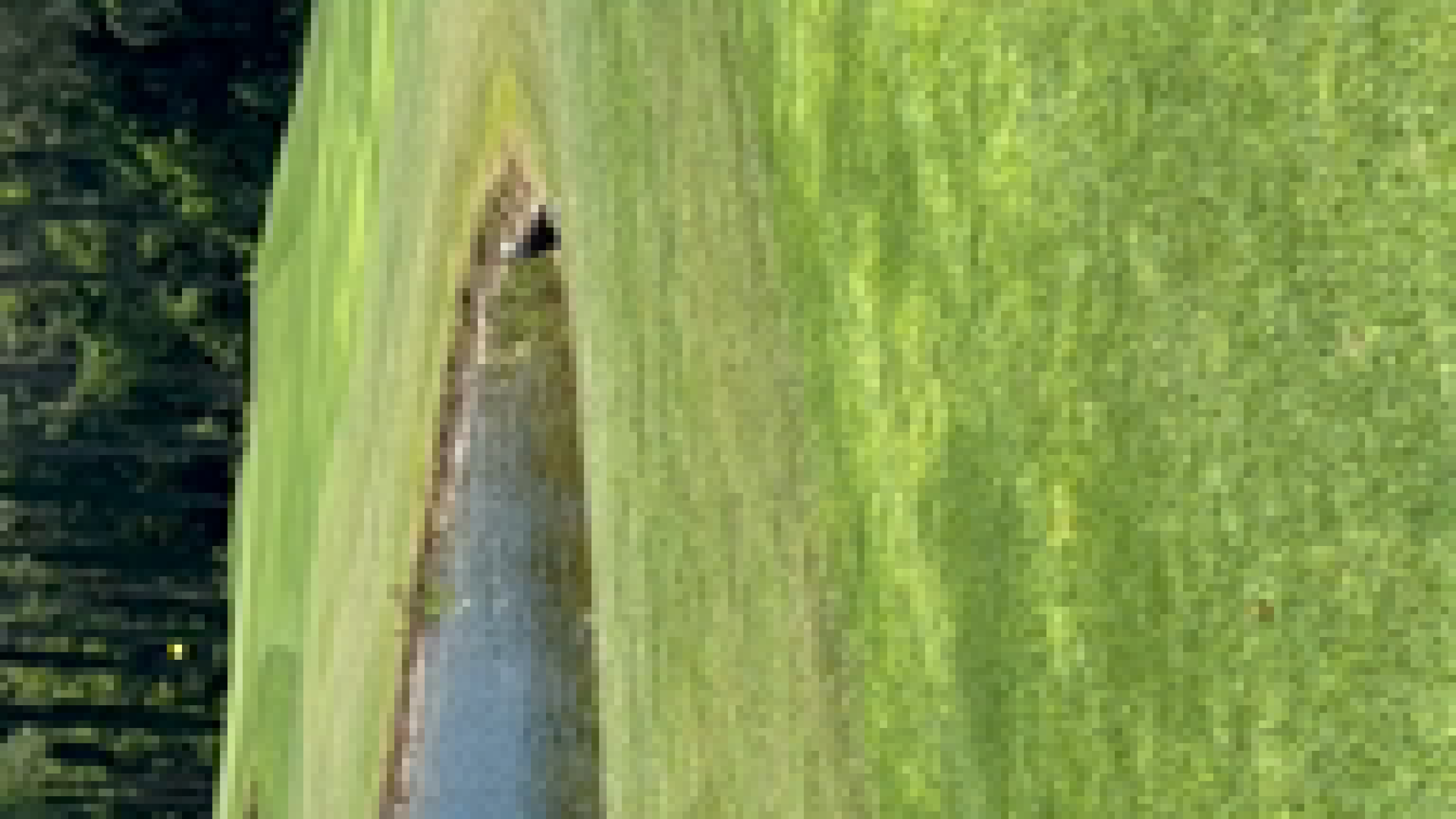 image-00001.png