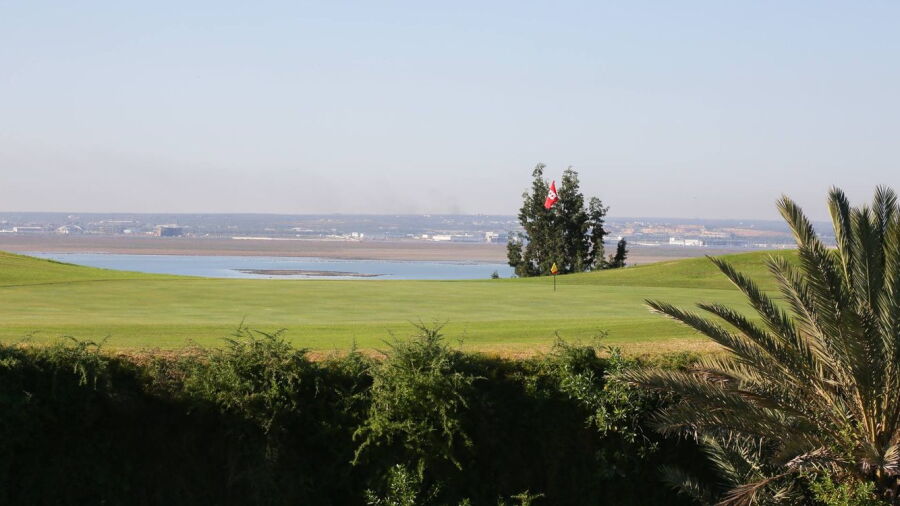 Flamingo GC: #8