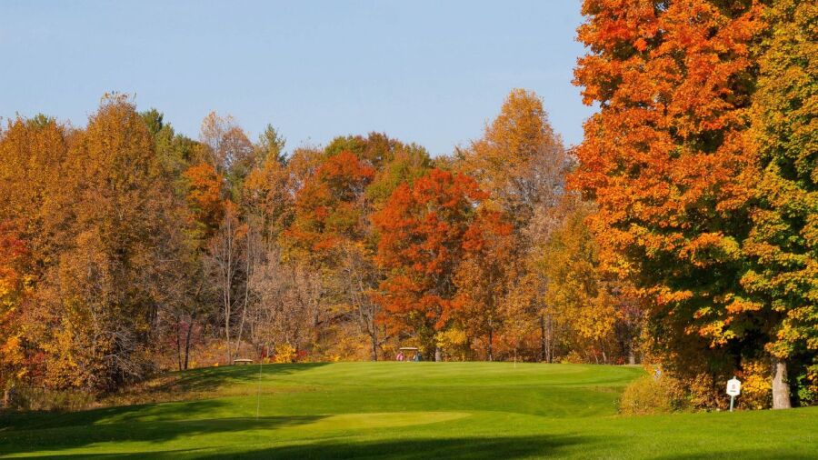 Ruttger's Bay Lake Lodge