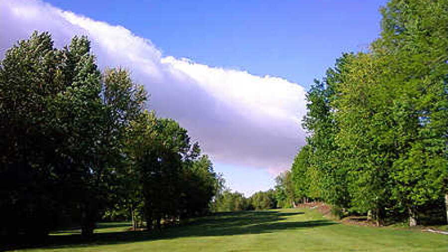 Cedars GC