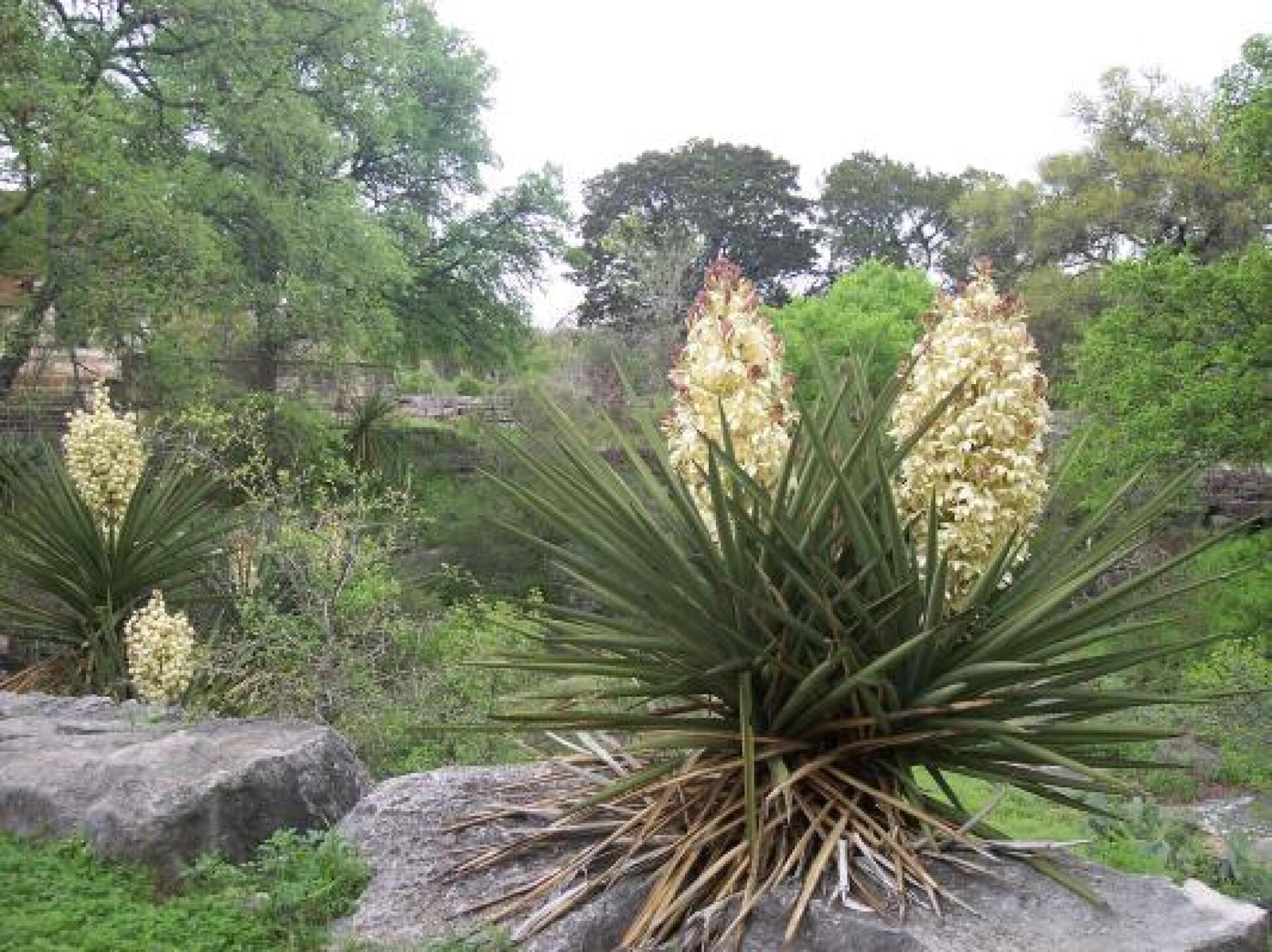 Tee Time! (Photo submitted by kurt1234 on 06/13/2013)