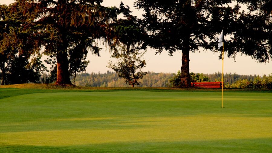 Edmonton CC: #15