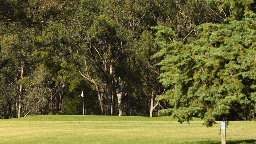 Seymour GC