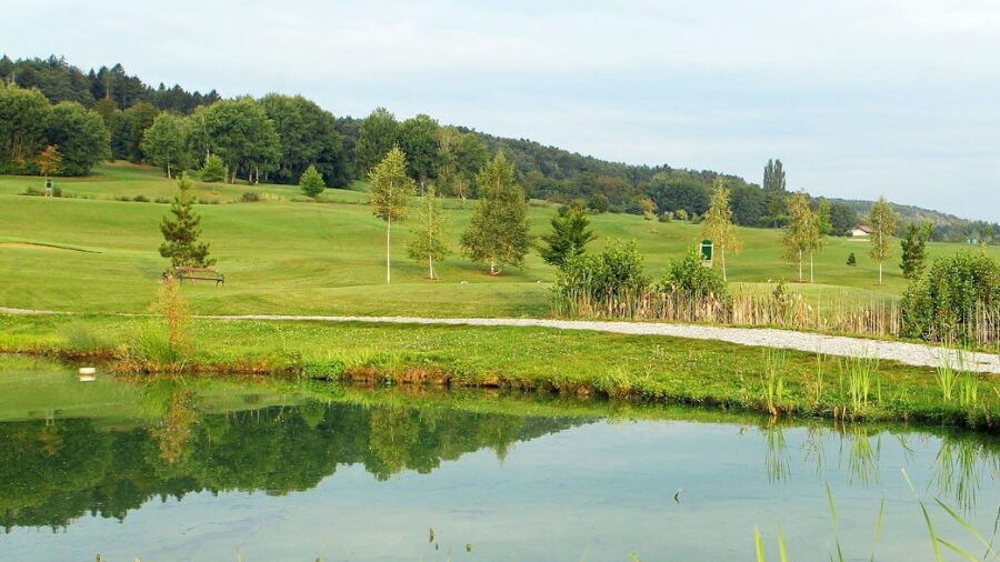 Bad Waltersdorf GC