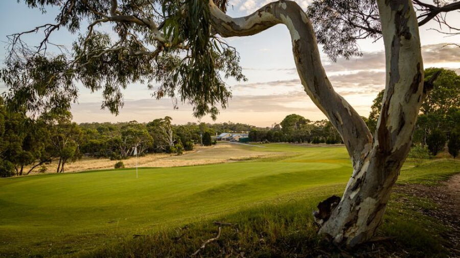 Tanunda Pines GC