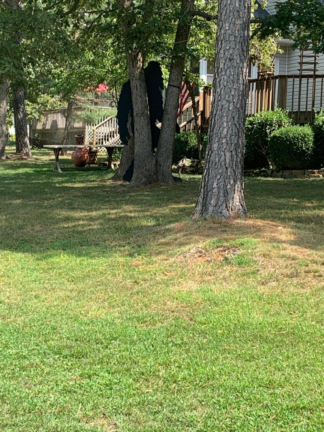 (Photo submitted by Cowboy14 on 09/10/2020)