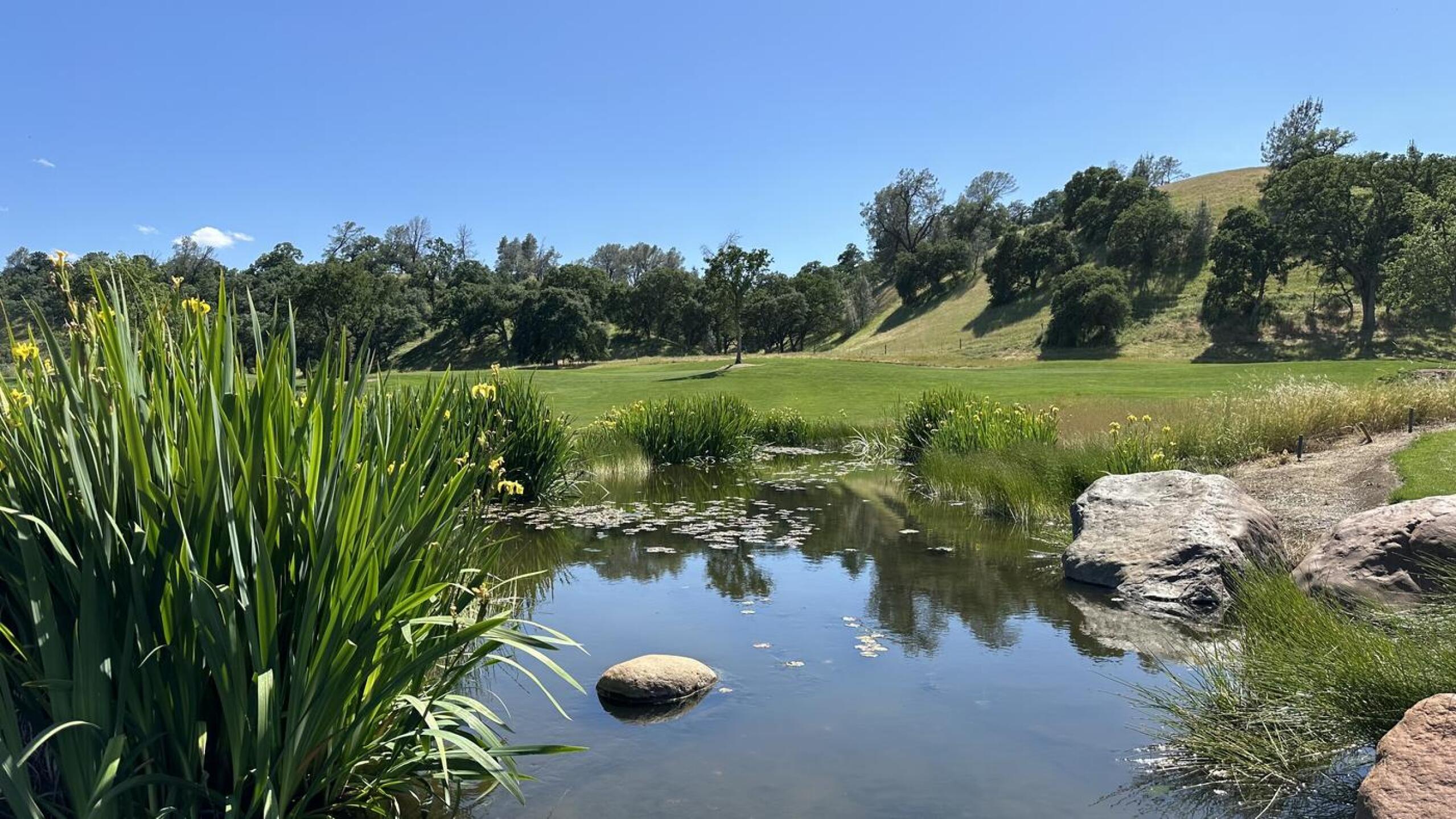 (Photo submitted by bejuma on 05/09/2024)