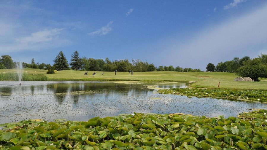 8th green at Witney Lakes Resort