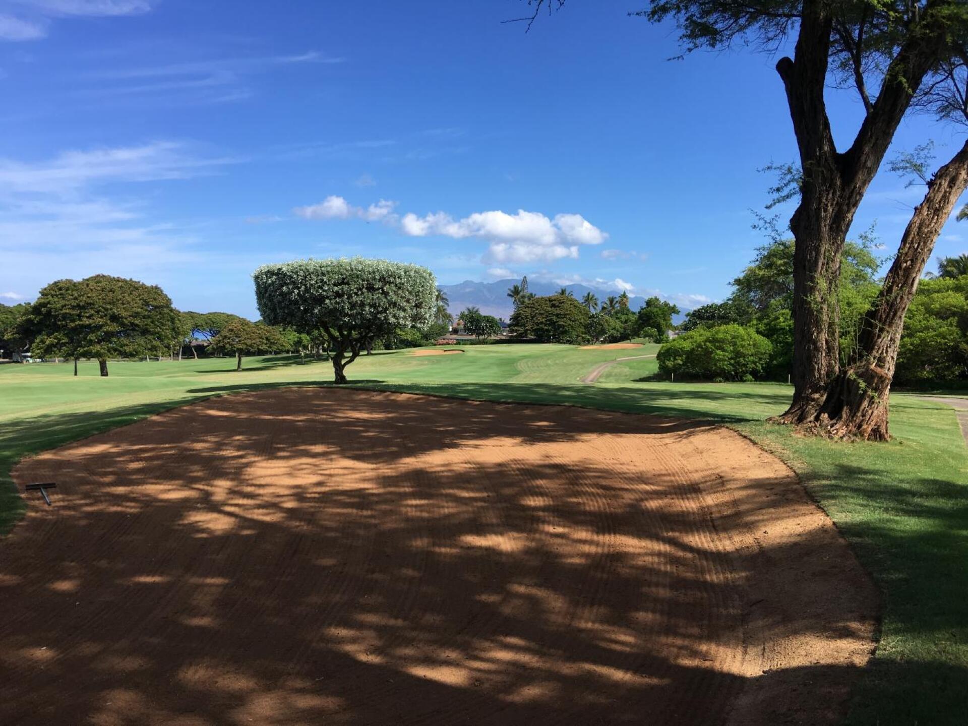 (Photo submitted by Cops1998 on 08/12/2019)