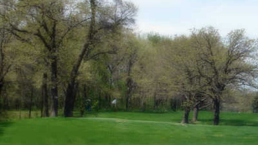 Riceville CC: #6