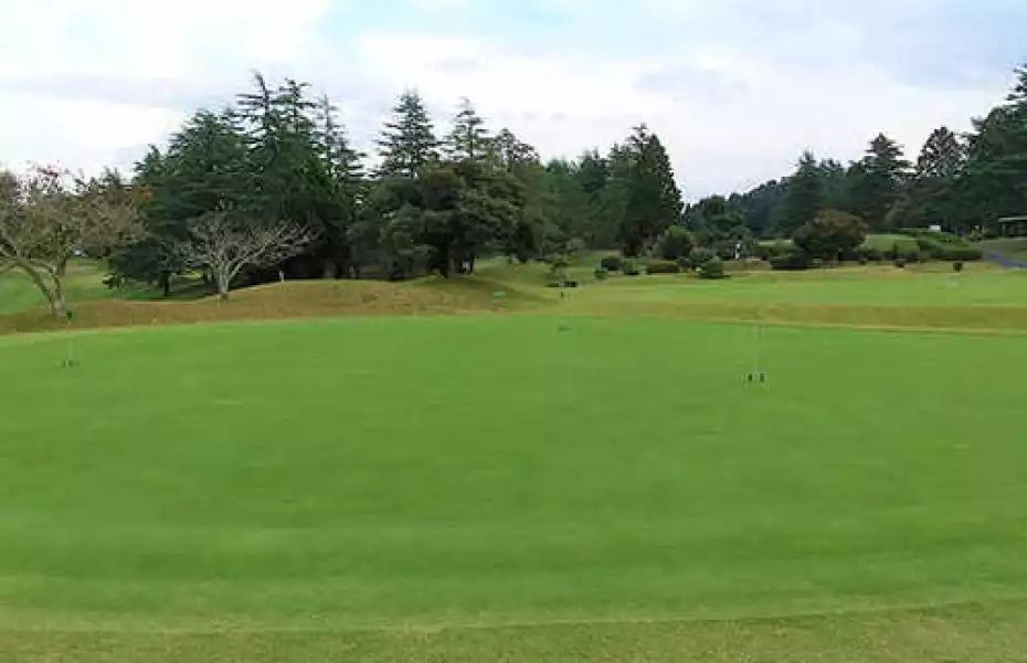 Chiba Shinnihon GC: Putting green