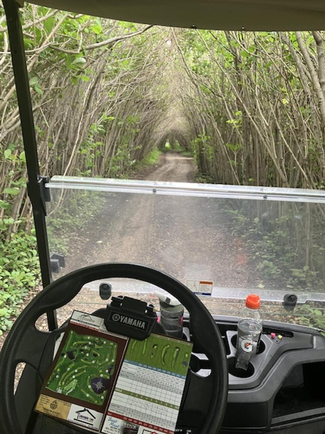 Cool overgrowth cart path (Photo submitted by Bruce6949779 on 07/20/2023)