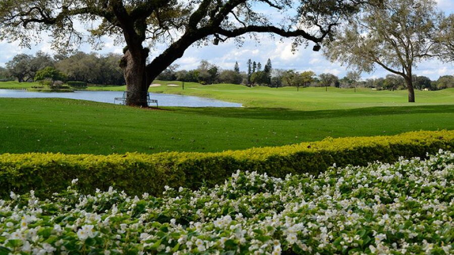 Grande Oaks GC