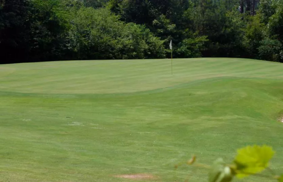 White at Mountain View GC