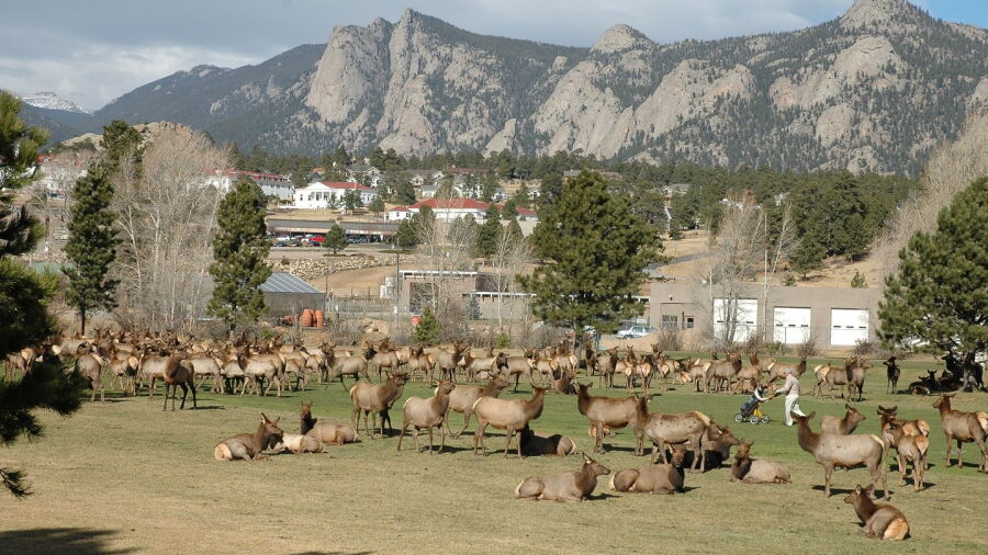 Lake Estes Executive 9 GC